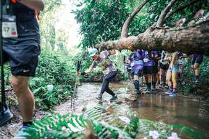 BIB: 
                            <button type="button" onclick="openModal(25472269)" class="btn btn-primary btn-sm float-right btn-popup" data-toggle="modal" data-target=".modal-high-quality">
                        <i class="fas fa-shopping-cart"></i> Add to Cart
                    </button>
                                            <button type="button" onclick="isThisMe(25472269, true)" class="btn btn-success btn-sm float-right btn-popup btn-isme hidden" data-toggle="tooltip" data-placement="bottom" title="นี่คือรูปของคุณใช่ไหม คลิกที่นี่เพื่อเอาเข้าอัลบั้ม">
                        <i class="fas fa-plus"></i> Add to album
                    </button>
                    <button type="button" onclick="isThisMe(25472269, false)" class="btn btn-warning btn-sm float-right btn-popup btn-isnotme hidden">
                        <i class="fas fa-ban"></i> Remove from album
                    </button>